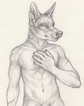  2016 abs anthro canine claws coyote ear_piercing fur looking_at_viewer male mammal muscular muscular_male piercing ransom rukis 