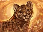  2016 amber_eyes ambiguous_gender black_nose cheetah day feline feral flashw fur grass looking_at_viewer mammal outside spots spotted_fur 