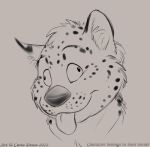  2013 anthro black_nose blep curiodraco derp_eyes eyebrows feline fur hybrid leopard mammal mars_(thequeenofmars) monochrome mustelid otter simple_background sketch snow_leopard tongue tongue_out 