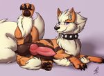  2016 arcanine blue_eyes blush canine collar erection feral fluffy fur hi_res knot looking_at_viewer male mammal nintendo paws penis pok&eacute;mon presenting raised_leg shikaro signature simple_background smile solo spread_legs spreading video_games 