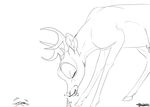  animal_genitalia antlers backlash91 balls bambi bambi_(film) black_and_white cervine conditional_dnp deer digital_drawing_(artwork) digital_media_(artwork) disney eating eyes_closed feral fully_sheathed hooves horn line_art male mammal monochrome motion_lines quadruped sheath side_view signature smile solo sound_effects uhoh 