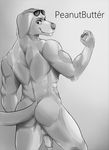  anthro backsack balls bojack_horseman butt canine dangpa dog erection eyewear flexing golden_retriever looking_at_viewer looking_back male mammal monochrome mr._peanutbutter muscular nude penis perfume pose rear_view smile smirk solo sunglasses 