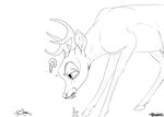  ? animal_genitalia antlers backlash91 balls bambi bambi_(film) black_and_white cervine conditional_dnp confusion deer digital_drawing_(artwork) digital_media_(artwork) disembodied_penis disney duo eating feral frown fully_sheathed hooves horn line_art male mammal monochrome motion_lines penis penis_tip quadruped sheath signature solo_focus stare 