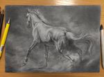  2016 abstract_background ambiguous_gender bra1neater butt equine feral fur greyscale hair horse mammal monochrome pencil_(artwork) pencil_(object) quadruped sketch solo traditional_media_(artwork) 