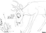  animal_genitalia antlers backlash91 balls bambi bambi_(film) black_and_white cervine conditional_dnp deer digital_drawing_(artwork) digital_media_(artwork) disembodied_penis disney duo eating english_text erection feral fully_sheathed glans hooves horn humanoid_penis line_art male mammal monochrome motion_lines open_mouth penis quadruped retracted_foreskin sheath signature solo_focus sound_effects stare surprise text uncut vein veiny_penis wide_eyed 