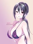  :d bare_shoulders black_eyes black_hair blush breasts cleavage collarbone commentary_request covered_nipples dated enomoto_hidehira large_breasts long_hair low_ponytail navel nose_blush open_mouth original purple_bikini_top smile solo twitter_username upper_body 