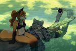  akitamonster anthro bikini canine clothed clothing feline female fox fur hair leopard male mammal pawpads paws snow_leopard swimsuit water 