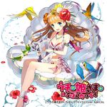  :d bikini bird blonde_hair blue_eyes blush bow bracelet breasts cleavage collarbone copyright_name earrings flower frilled_bikini frills hair_flower hair_ornament harp hibiscus holding instrument jewelry long_hair looking_at_viewer matsui_hiroaki medium_breasts music necklace official_art open_mouth parrot petals playing_instrument seashell shell sheria_harps sitting smile solo swimsuit teeth uchi_no_hime-sama_ga_ichiban_kawaii water watermark 