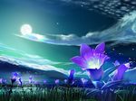  cloud flower full_moon grass kagaya landscape moon mountain nature night no_humans original scenery sky star_(sky) starry_sky wallpaper 