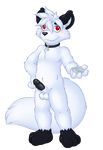  alpha_channel arcc arctic_fox balls black_fur blush canine child collar condom cub cute_fangs erection fox fur hand_on_hip inviting looking_at_viewer male mammal multicolored_fur nude penis red_eyes smile solo standing two_tone_fur white_fur young 