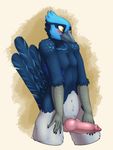  2016 anthro avian beak bird erection feathers hi_res iko male nude penis pinup pose presenting solo superb_fairy_wren tallow wren 