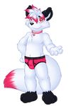  alpha_channel arcc arctic_fox black_fur briefs bulge canine child clothing collar cub cute_fangs fox fur hair hand_on_hip looking_at_viewer male mammal multicolored_fur pink_eyes pink_fur pink_hair smile solo standing two_tone_fur underwear white_fur young 