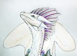  ambiguous_gender armor blue_eyes dragon feathers flight_rising fur horn low_res shoulder_guards simple_background spines srnecka teeth traditional_media_(artwork) wildclaw_dragon 