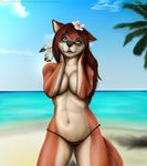  2016 anthro beach breasts canine cleavage clothed clothing cyan_eyes feathers female flower fur hi_res mammal multicolored_fur navel open_mouth paintchaser palm_tree plant sea seaside skimpy solo tan_fur thong topless tree two_tone_fur water white_fur wolf 