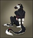  2016 anthro bdsm black_fur bound claws collar erection fur male muzzle_(object) muzzled nude penis red_eyes red_fur rope rope_bondage rope_harness sergal simple_background sitting solo white_fur zetsin 