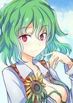  blush breasts center_opening cleavage commentary_request flower green_hair kazami_yuuka long_sleeves looking_at_viewer medium_breasts no_bra open_clothes open_vest plaid plaid_vest red_eyes shirt short_hair smile solo suichuu_hanabi sunflower touhou upper_body vest white_shirt 