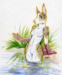 anthro breasts canine etsu_cuprumfox facial_piercing featureless_breasts featureless_crotch female looking_at_viewer mammal nose_piercing nude piercing smile solo standing traditional_media_(artwork) wide_hips 