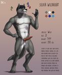  2015 4_toes abs animal_genitalia animal_penis anthro armpits balls biceps black_hair black_nose blue_eyes blue_highlights brown_nipples brown_penis canine canine_penis claws digital_media_(artwork) digitigrade ear_piercing english_text erection front_view fur grey_background grey_fur hair hand_on_hip highlights knot looking_at_viewer male mammal model_sheet multicolored_fur muscular muscular_male navel nipples nude pecs penis piercing raised_arm rov signature silver_wildheart simple_background solo standing text toe_claws toes two_tone_fur white_fur wolf 