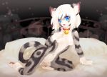  2018 anthro bed bell_collar blue_eyes breasts cat collar featureless_breasts featureless_crotch feline female hair karin looking_at_viewer mammal navel nude on_bed open_mouth pawpads solo tetetor-oort white_hair worried 