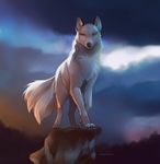  ambiguous_gender black_nose canine day detailed_background feral fluffy fluffy_tail fur hindpaw koul looking_at_viewer mammal nude outside paws sky solo standing white_fur wolf yellow_eyes 