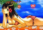  2004 ass back bikini black_hair blush breasts cleavage cover cover_page covered_nipples day doujinshi floral_print flower from_side hair_flower hair_ornament hibiscus ichigo_100_percent large_breasts lying non-web_source on_stomach red_bikini scan side-tie_bikini sky smile solo swimsuit toujou_aya yellow_eyes yoshizane_akihiro 