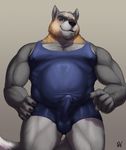  2016 5_fingers anthro biceps black_nose brown_eyes bulge canine claws clothed clothing digital_media_(artwork) fox front_view fur grey_fur hand_on_hip hi_res looking_at_viewer male mammal manly multicolored_fur musclegut muscular muscular_male nipple_bulge pecs penis_outline pointing portrait raised_eyebrow rov signature simple_background slightly_chubby smile solo standing tan_fur three-quarter_portrait wrestling_singlet 
