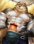  abs anthro blush clothed clothing colored erection eyewear feline glasses male male/male mammal muscular open_pants pants_down partially_clothed pecs penis seikeikei2015 tiger underwear undressing 
