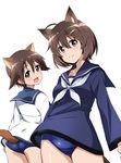  ahoge animal_ears brave_witches brown_eyes brown_hair closed_mouth collarbone dog_ears eyebrows eyebrows_visible_through_hair hair_between_eyes hair_ornament hairclip highres karibuchi_hikari looking_at_viewer looking_back miyafuji_yoshika multiple_girls one-piece_swimsuit open_mouth sailor_collar sailor_shirt school_swimsuit school_uniform serafuku shiny shiny_skin shirt short_hair simple_background smile strike_witches swimsuit swimsuit_under_clothes tail tokiani white_background world_witches_series 
