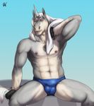  2016 abs anthro biceps black_fur blue_eyes bulge clothed clothing digital_media_(artwork) equine front_view fur gradient_background grey_fur grey_nipples hi_res horn looking_at_viewer lusterunicorn male mammal multicolored_fur muscular muscular_male navel nipples pecs rov signature simple_background sitting solo speedo swimsuit topless towel unicorn wet white_fur 