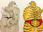  big_butt blush butt canine clothing donuts72 feline invalid_tag looking_at_viewer male male/male mammal presenting presenting_hindquarters rear_view simple_background tiger underwear white_background wolf 