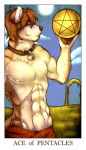  ace_of_pentacles_(tarot) anthro blue_eyes brown_fur brown_hair canine card clothed clothing cloud collar connor_drake dog feralise fur hair husky lock male mammal minor_arcana muscular muscular_male nipples outside pawpads pentacle sky solo sun tarot_card topless white_fur 