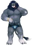  anthro clothing feline iceman1984 lion male mammal muscular nipples underwear 