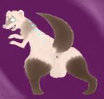  butt diety feral ferret fur male mammal mega_ferret mustelid presenting sirius 