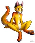  canine cuntboy dragon fox fozzaroo hybrid intersex mammal meirro paws pussy sitting solo 