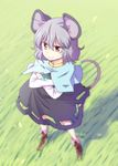 :&gt; animal_ears capelet crossed_arms dra full_body grey_hair mouse_ears mouse_tail nazrin pendulum raised_eyebrow red_eyes solo tail touhou 