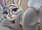  after_sex anus cum cum_in_ass cum_in_pussy cum_inside cum_on_face delkon disney female judy_hopps looking_at_viewer looking_back presenting raised_tail solo zootopia 