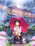  black_hair blue_eyes box cat flower ground_vehicle kneehighs loafers looking_up open_mouth original overhead_line pantograph shoes short_hair skirt solo squatting train twitter_username umbrella vania600 