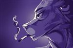  ambiguous_gender anthro canine cigarette mammal simple_backgorund solo tsukinori 