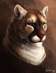  2016 anchee bust_portrait cougar feline feral fluffy heterochromia inner_ear_fluff mammal portrait scar simple_background skandrake three_quarter_view whiskers 