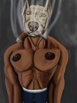  animate_inanimate anthro canine cigar czyhyena digital_media_(artwork) doberman dog mammal muscular nipples nude pecs smoke smoking 
