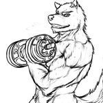  anthro biceps canine dumbbell exercise fur holding_object looking_at_viewer male mammal muscular muscular_male ninjatertel nude pecs solo sweat teeth weightlifting weights wolf workout 