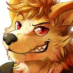  2014 anthro blitzdrachin brown_fur canine clothed clothing fur grin headshot icon looking_at_viewer male mammal red_eyes simple_background solo white_background wolf 