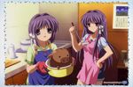  botan clannad fujibayashi_kyou fujibayashi_ryou tagme 