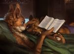  2016 african_wild_dog anthro bed bed_covers bedding bedroom black_nose blott blue_eyes book boxers_(clothing) brown_fur calem canine clothed clothing cuddling detailed_background digital_media_(artwork) digital_painting_(artwork) duo ear_tuft eyes_closed fluffy fur hax_(artist) hi_res holding_object inside kenket lofi lying male mammal multicolored_fur on_back on_bed on_front petting pillow reading red_squirrel rodent romantic_couple ruddrbtt signature sleeping smile squirrel topless tuft two_tone_fur under_covers underwear whiskers white_fur 