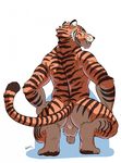  athletic backsack balls butt crouching digitigrade feline flaccid grin hands_on_knees looking_at_viewer looking_back male mammal negger nude penis perineum pinup pose rear_view signature solo spread_legs spreading tiger 