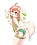  2016 anthro basset_hound canine clothing dog female floppy_ears freedom_planet hair long_ears mammal middle_finger milla_basset mufeet orange_hair solo swimsuit tagme tongue tongue_out video_games 
