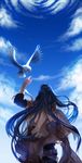  alter_(silent_mute) animal arm_up back bad_id bad_pixiv_id bandaged_arm bandages bird black_hair blue_sky boris_jinneman cloud day flying from_behind long_hair male_focus outdoors sky solo tales_weaver very_long_hair 