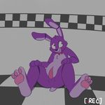  blush bonnie_(fnaf) embarrassed five_nights_at_freddy&#039;s lagomorph mammal pancak3 penis rabbit recording video_games 