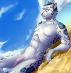  2016 abs anthro beach black_fur blue_eyes blue_fur feline fur kirchen leopard lying male mammal nipples nude on_back outside penis pink_nipples pink_penis sand seaside smile snow_leopard solo spots whiskers white_fur 