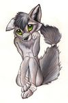  2016 bandage big_eyes canine cute fur green_eyes grey_fur male mammal shy solo spera wolf young 